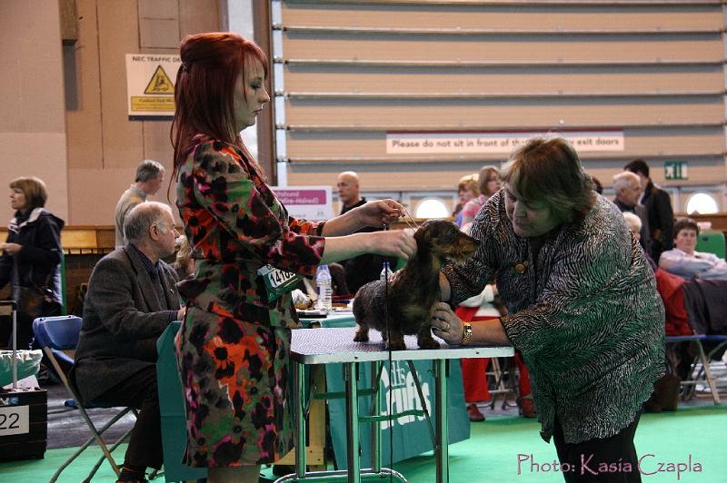 Crufts2011_2 1169.jpg